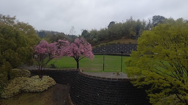 e-shot こどもの国店 3