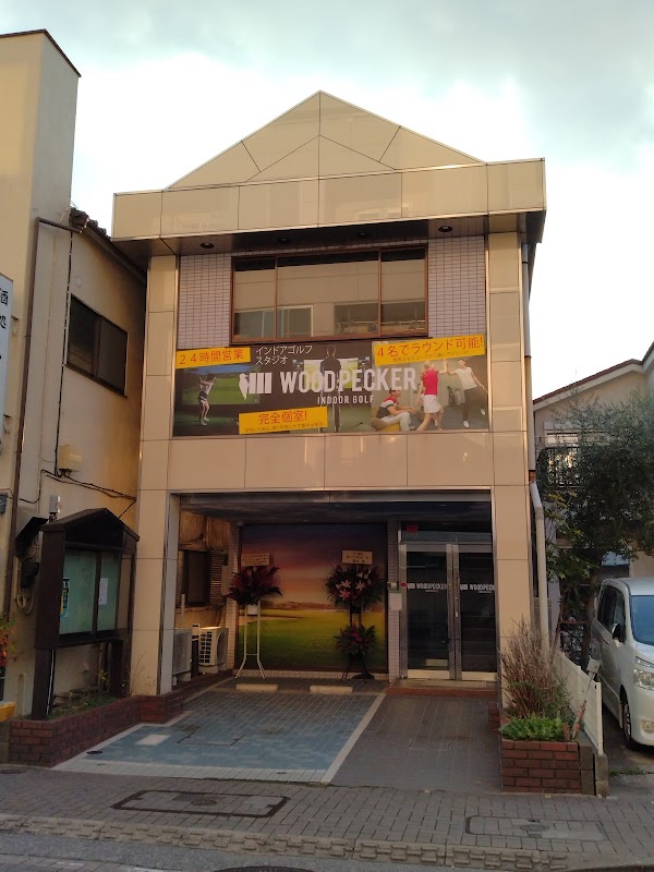 WOODPECKER indoor golf ウッドペッカー・インドアゴルフ 3