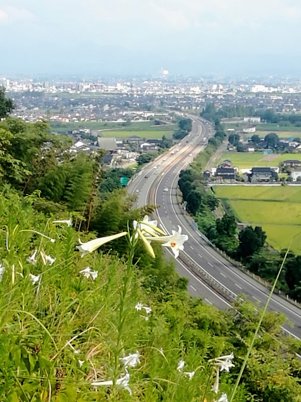 古沢ゴルフクラブ 4