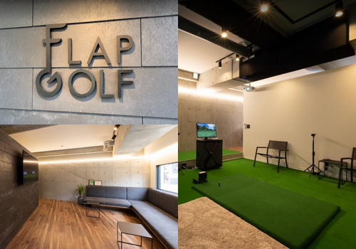 FLAP GOLF