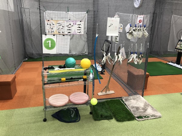 ステップゴルフプラス 椎名町店 2