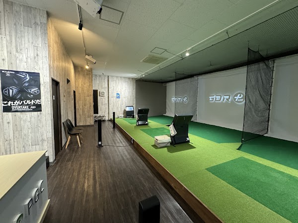 PGC Progress Golf Club 4