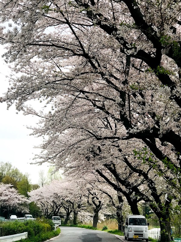 東川口ゴルフラボ 3
