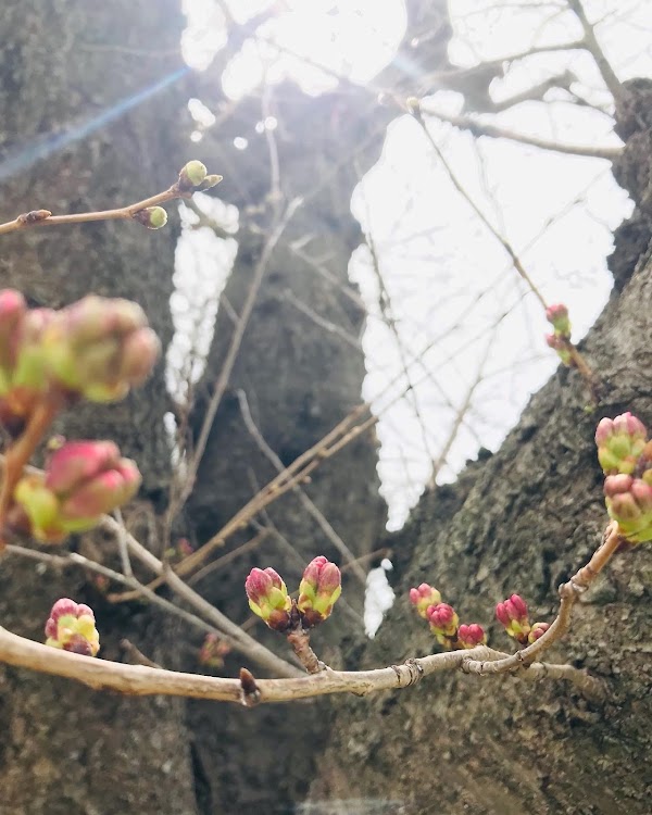 東川口ゴルフラボ 4