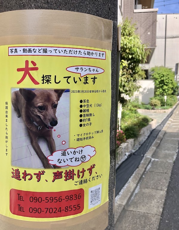 北千住インドアゴルフ 5