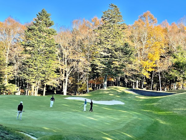 オールデイゴルフ桜新町 5