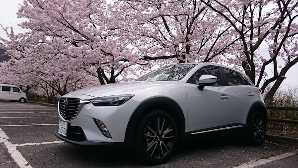 アコーディア・ガーデン広島中央【アコーディア・ゴルフ】 5