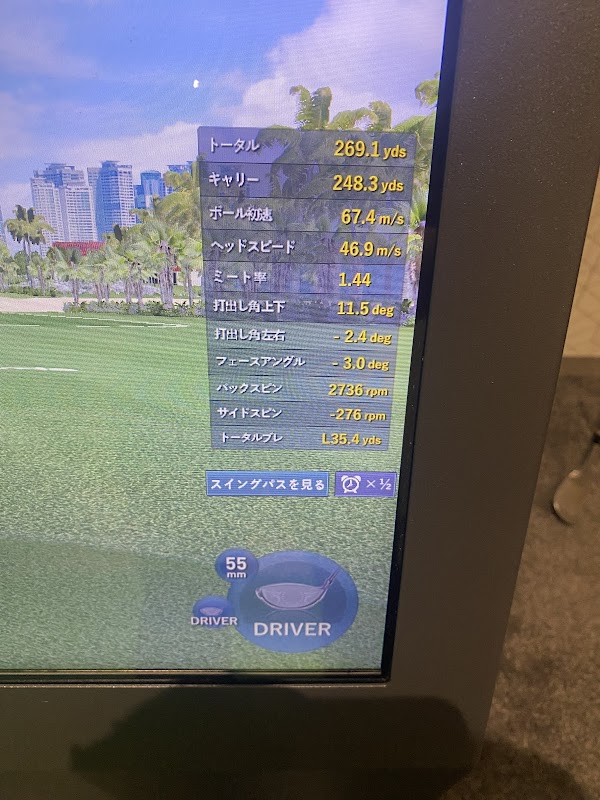 indoor golf TURF インドアゴルフターフ 3