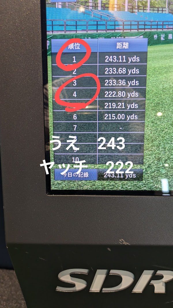 indoor golf TURF インドアゴルフターフ 5