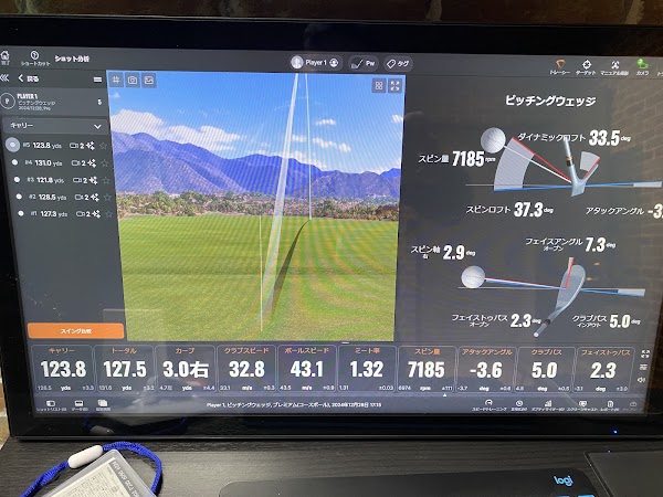 INDOOR GOLF IMPACT ZONE インパクトゾーン インドアゴルフ 3