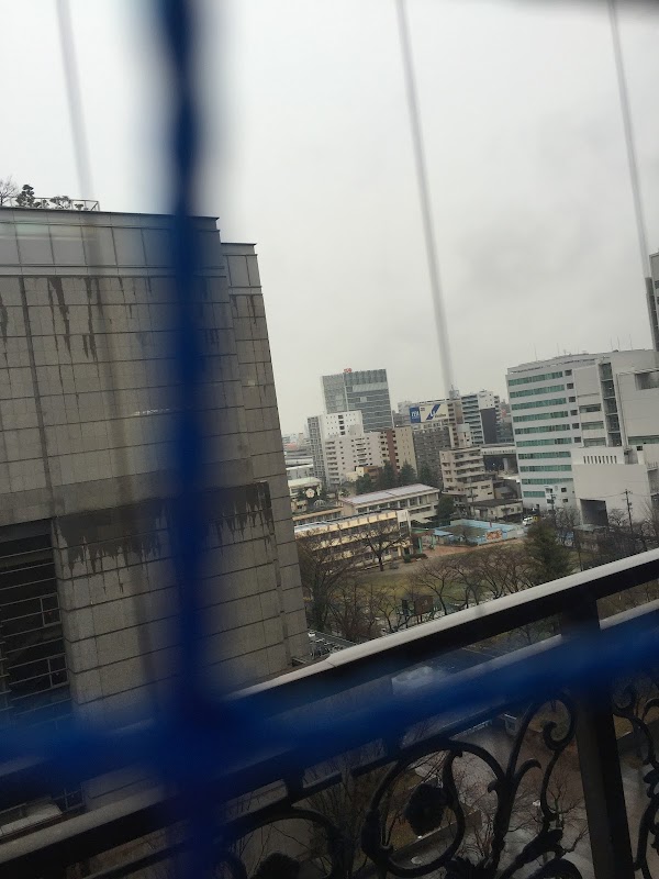 ドリームゴルフ 4