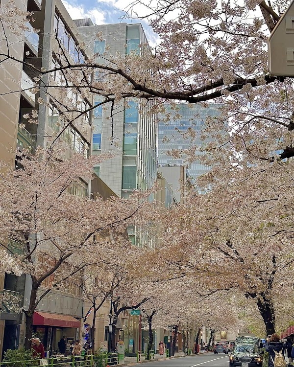 八重洲ゴルフスクール 5