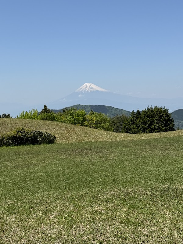 ステップゴルフプラス小田急相模原店 4