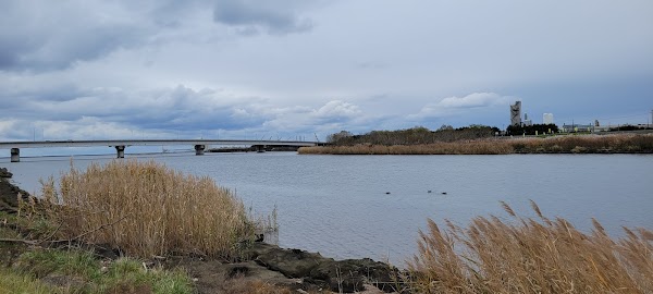 八戸ゴルフ倶楽部 4