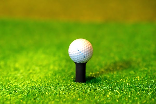 チェリーゴルフガレージ 5