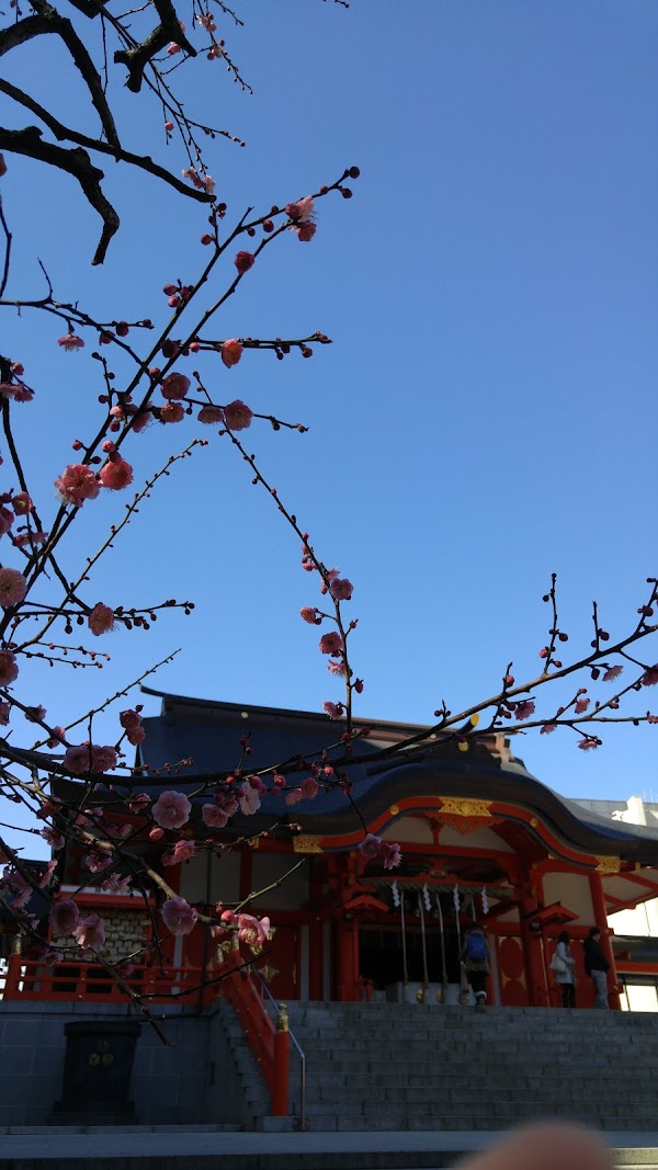 新宿インドアGOLF 5