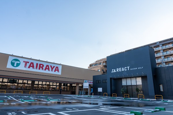 インドアゴルフ リアクト 3