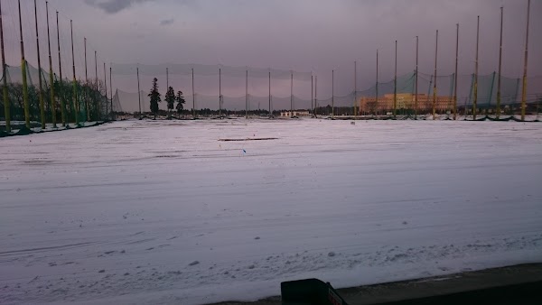 シティゴルフ 5