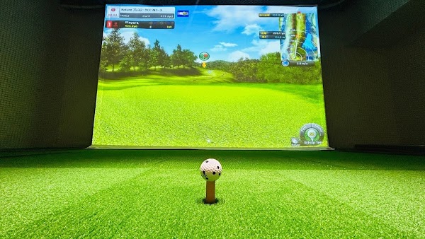 Smart Golf 4