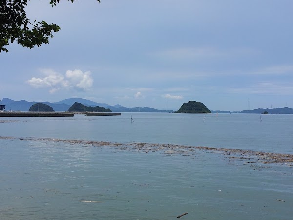 大島ゴルフ倶楽部 4