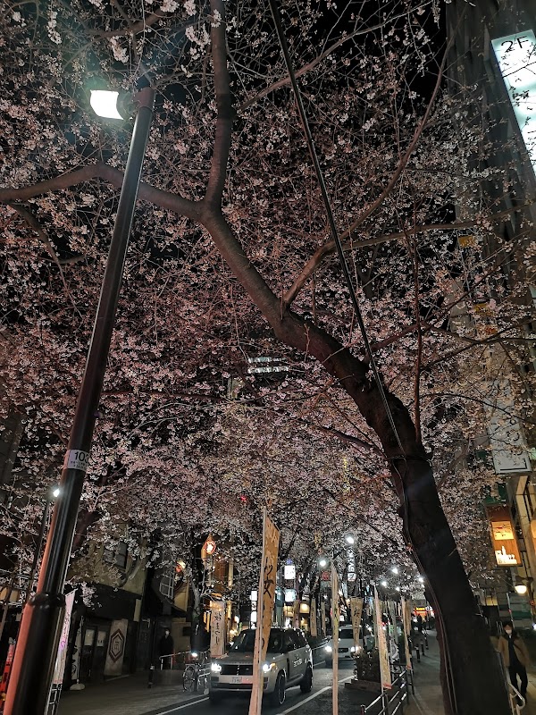 IGL・スタジオ渋谷 3