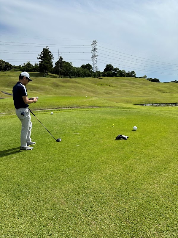 Baffy Golf-バフィー ゴルフ-インドアゴルフ 4