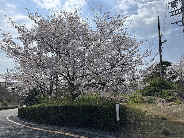 サン神戸ゴルフガーデン 5