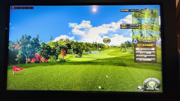 インドアゴルフ SMART GOLF 大鳥居店 3