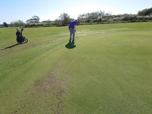 秋田リバーサイドグリーン 2