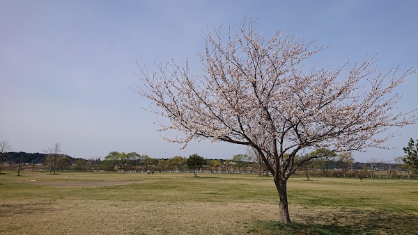 秋田リバーサイドグリーン 4