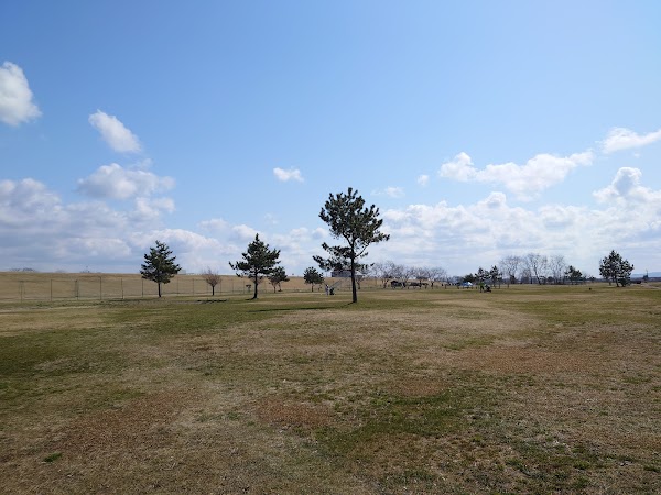 秋田リバーサイドグリーン 5