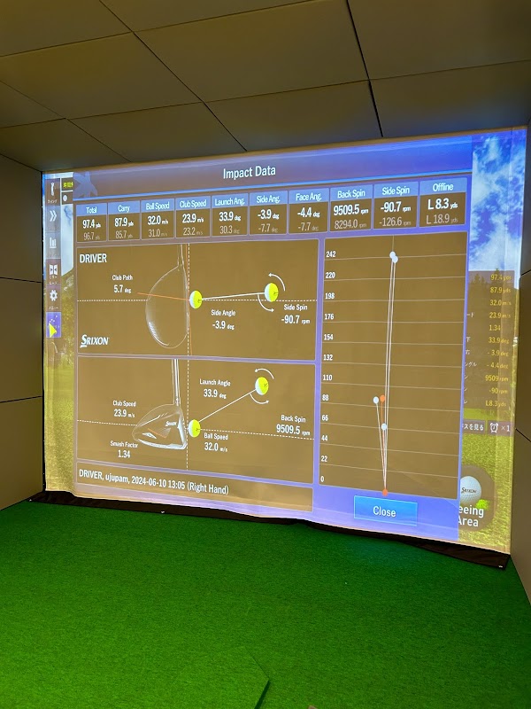 HYPU PRIVATE GOLF LOUNGE 5
