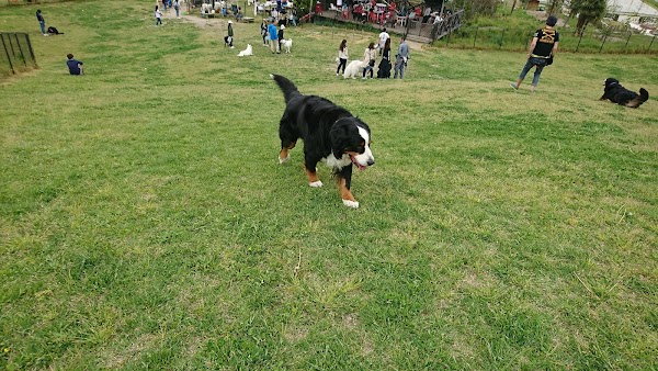 四日市インターゴルフ 3