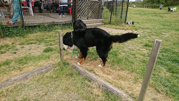 四日市インターゴルフ 5