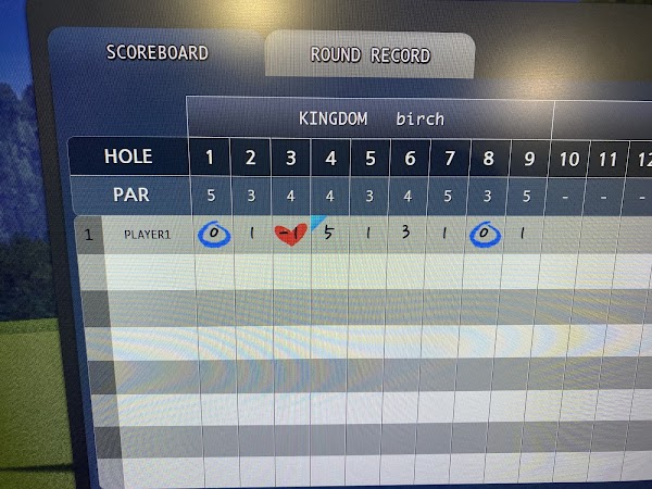 RoundGolf 稲毛海岸。（ﾗｳﾝﾄﾞｺﾞﾙﾌ）インドアシュミレーション ゴルフ練習場 5